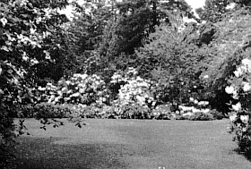 Henry Wessinger garden