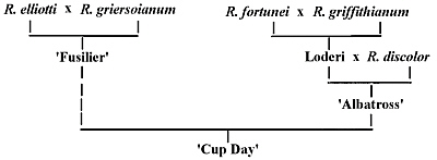 R. 'Cup Day' Parentage