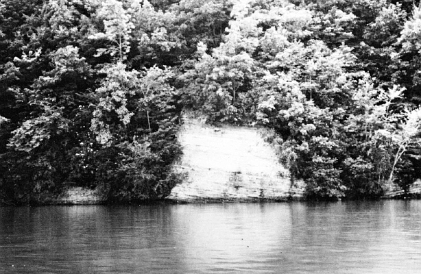 Area of Kentucky Lake, Tenn., where R. maximum was found.