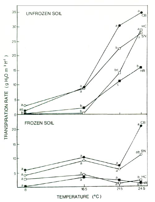 Ninhydrin test of freezing injury to roots of 4 azalea cultivars
