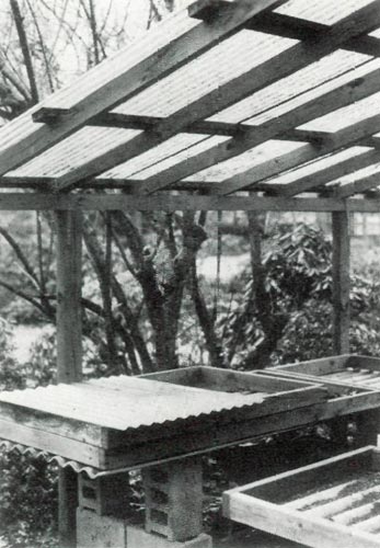 Outdoor shelter for growing seedlings