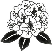 Rhododendron Conference Logo