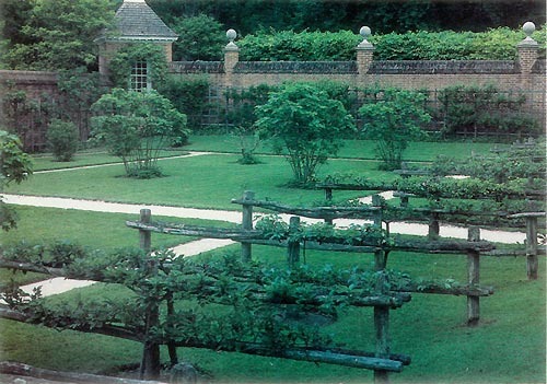 Fruit Garden at Governor's Palace,Williamsburg