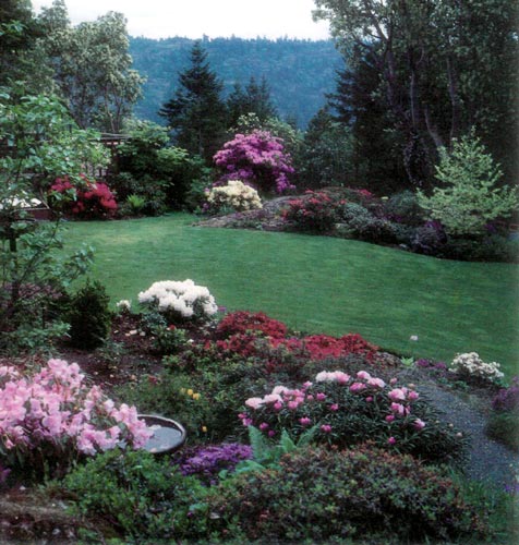 David Dougan garden