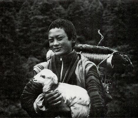 Bhutanese girl with sheep.
