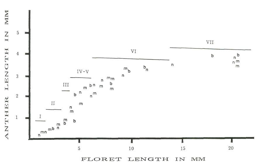 Anther length vs. floret length