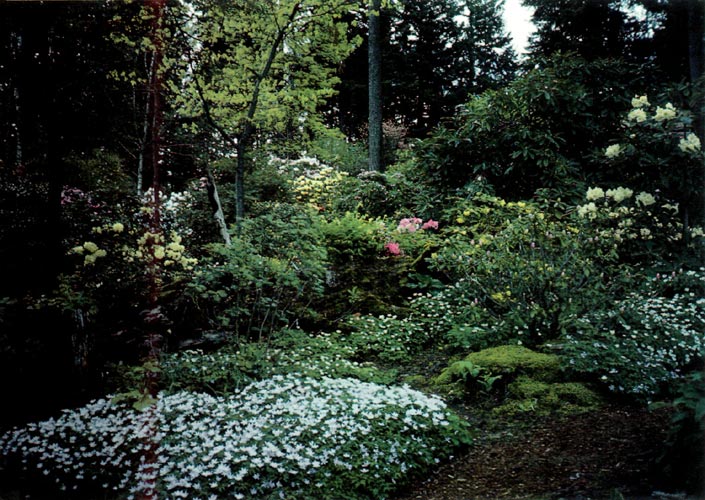 Cecil Smith Garden