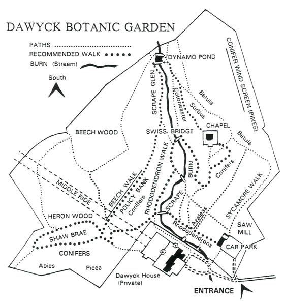 Dawyck garden map