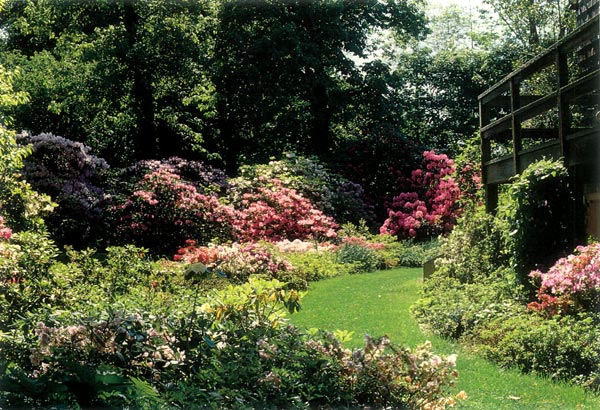 Hess garden