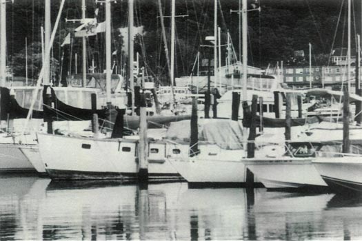 Boats in Huntington Harbor