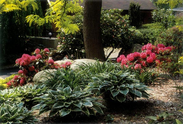 Waldman garden, entrance planting