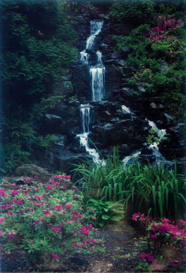 Waterfall in Jane Martin Entrance
Garden