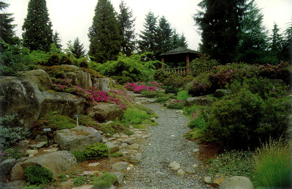 Alpine Garden, Rhododendron Species
Foundation