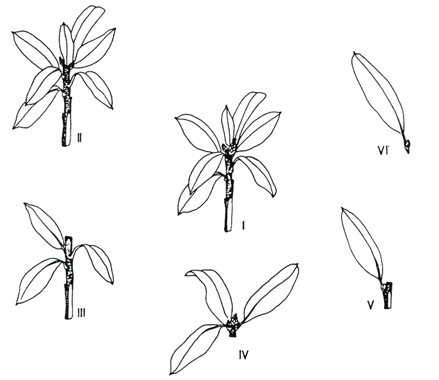 Figure 1. Types of cuttings