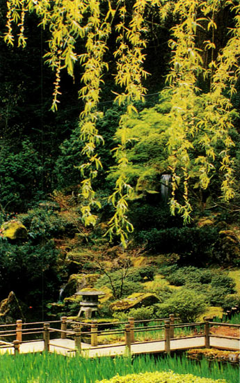 The Japanese Garden, Heavenly Falls