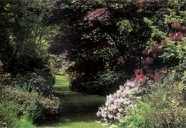 Darts Hill Garden, Surrey