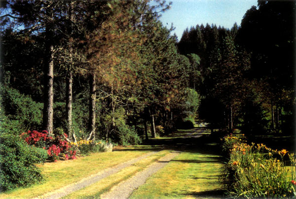 Dunroamin, the driveway to the home of
Frances and Ralph Burns