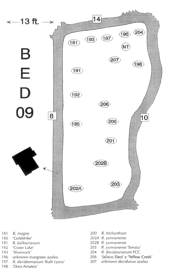 Typical Plot map of a bed  
in the Cecil & Molly Smith Garden