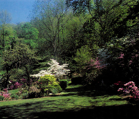 Lyall Crober garden, Rhododendron Garden