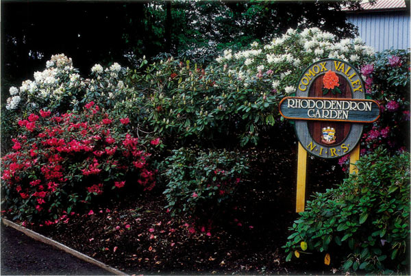 Comox Valley Rhododendron Garden 
in Courtenay, BC