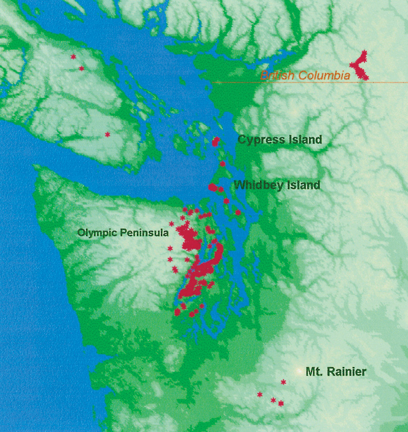 Relative locations of Whidbey and
Cypress Island in the Pacific Northwest with known populations of R. macrophyllum
