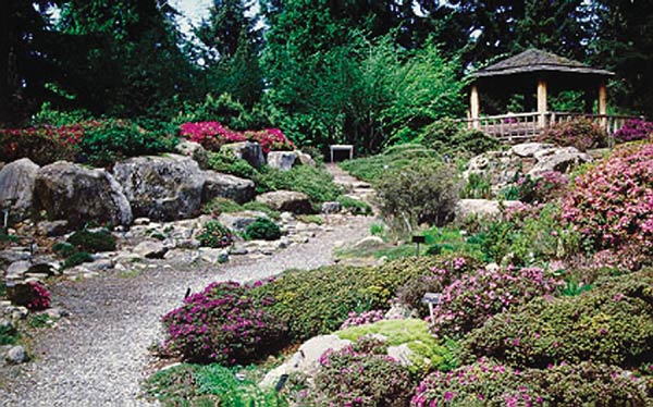 Rhododendron
Species Botanical Garden