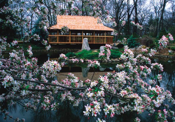 The Teahouse at Lendonwood Gardens