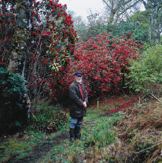 Lord Strathcona in
Colonsay garden