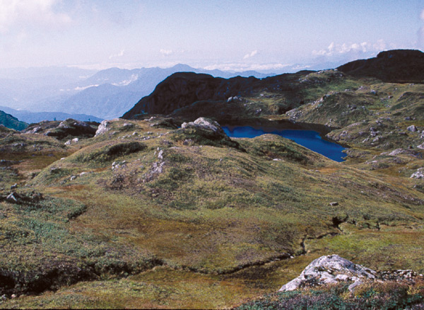 Alpine lakes and
flora at Abroka Pass