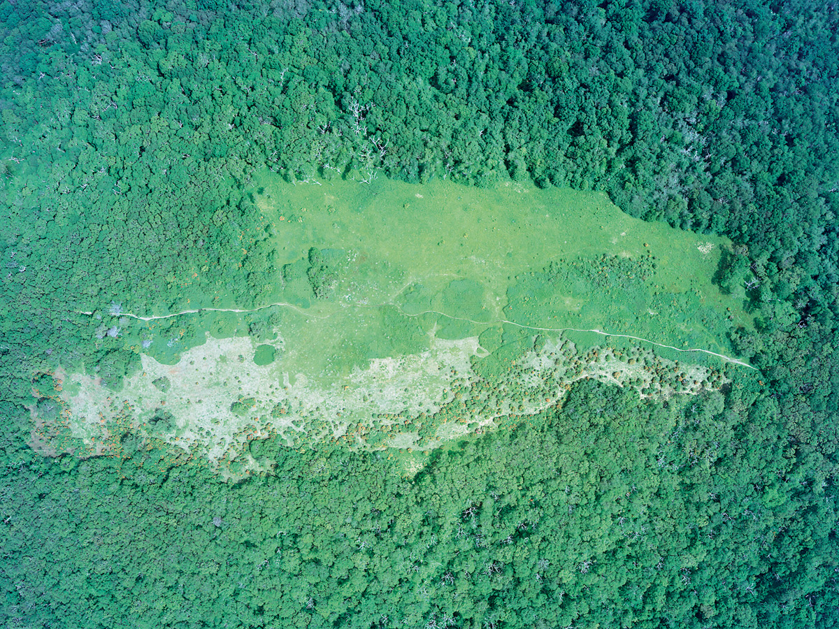 Aerial photo of Gregory Bald,