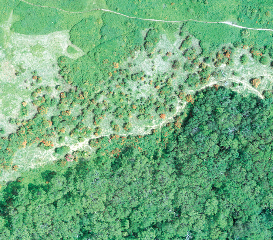 Aerial photo of Gregory Bald, 
close-up of above photo.