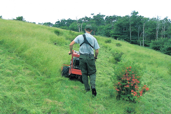 Mowing on Gregory Bald with new 
mower MAC obtained through ARS Endowment Fund grant