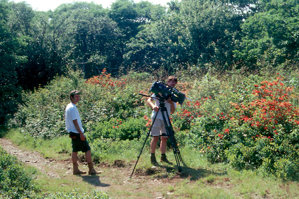 Filming plants on Gregory Bald
