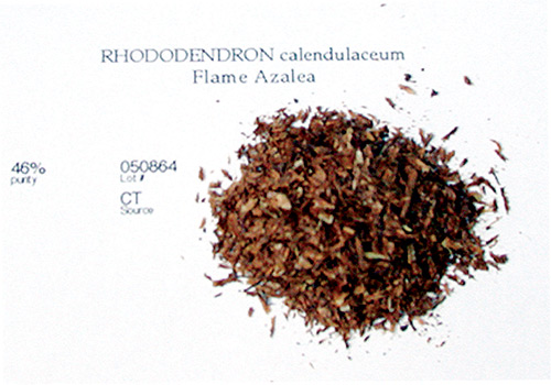 R. calendulaceum seed