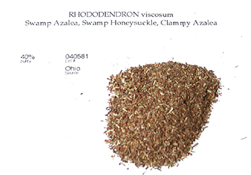 R. viscosum seed