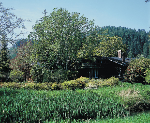 View toward house and river