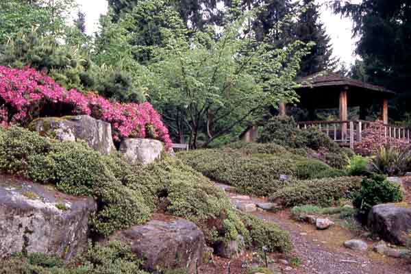 Alpine Garden at the Rhododendron 
Species Botanical Garden