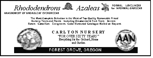 Carlton's ad