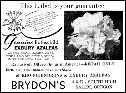 Brydon's Advertisement