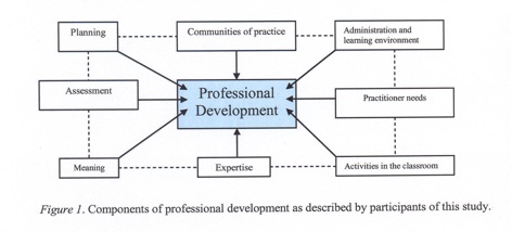 Figure 1.  Components of professional development as described by participants of this study.
