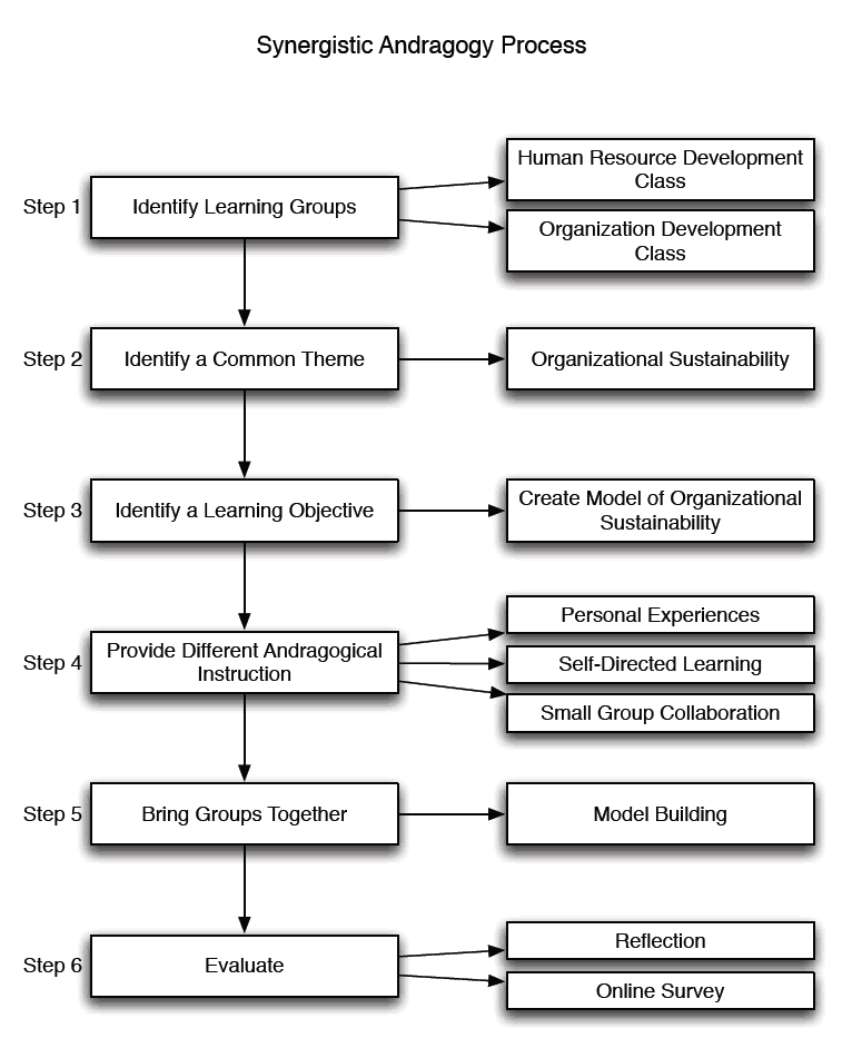 The Six Step Process of SA