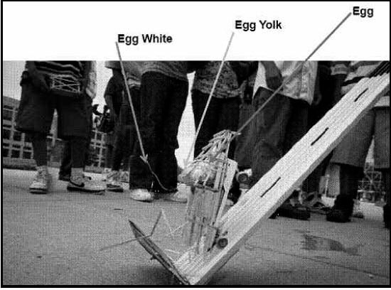 Egg car crash project