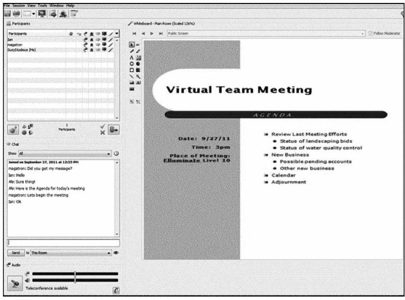 A screenshot of a Virtual Team Meeting using Elluminate Live.