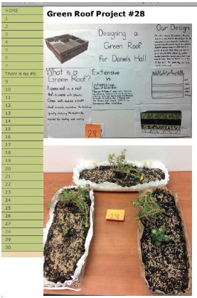 Figure 2. Green roof project website. This figure illustrates the website used by
project raters for viewing each of the green roof projects. Photographs of
presentation posters and physical models were included for each project.