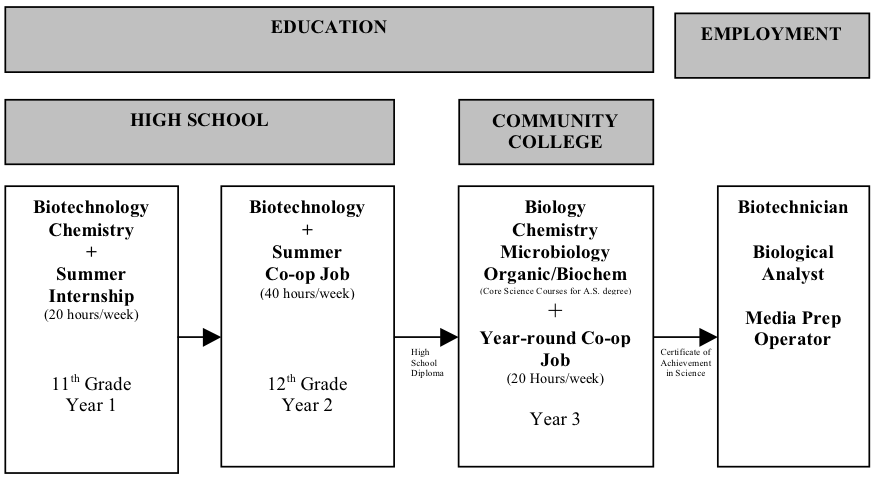 Diagram of key experiences in the core program which students participated in a coherent sequence of work-based and school-based learning activities, including science course work during two years of high school and one year of community college, paid summer internships as high school students, and paid year-round co-op jobs as community college students. This is a Table with four columns. Two main headers are education and employment. Under education, there are high school (11 and 12th grade) and community college. During 11th Grade, students were taking biotechnology and chemistry, along with a summer internship 20 hours per week. During 12th Grade, students were taking biotechnology, along with a summer co-op job 40 hours per week. After getting their high school diplomas, students went to community college. They were taking core science courses for A.S. degree which includes biology, chemistry, microbiology, and organic/biochem, along with a year-round co-op job 20 hours per week. After getting their certificate of achievement in Science, they became employees. Some of them are biotechnicians, some are biological analysts, and some are media prep operators.