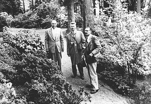 H. L. Larson, Mr. Trayling and Mr. Living in Test Garden