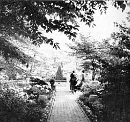 W. R. Cole Jr Garden