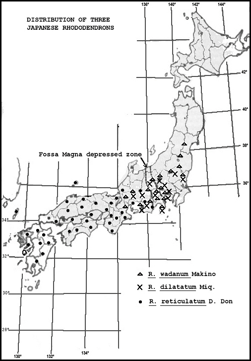 distribution of three Japanese rhododendrons