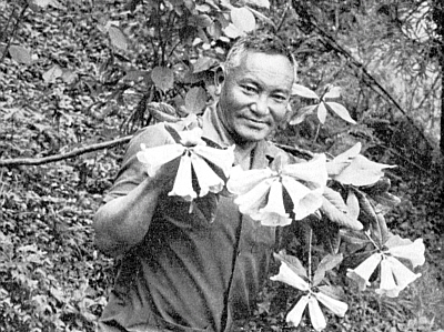 Tse Ten Tashi holding branch of R. dalhousiae