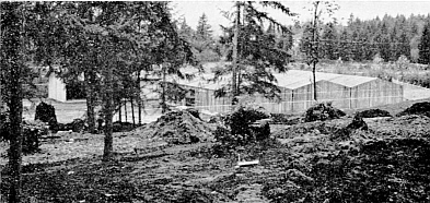 Three lath houses built for use of the RSF.